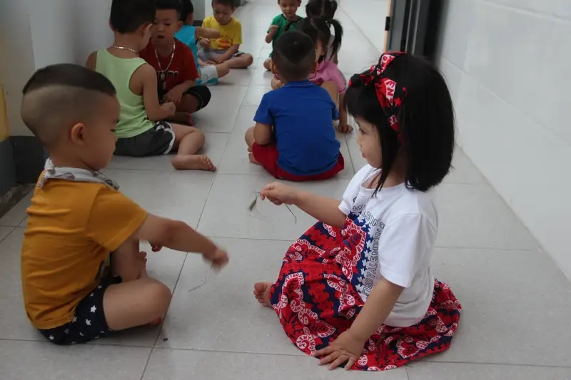 Cách chơi trò chơi chọi cỏ qua hình ảnh trực quan