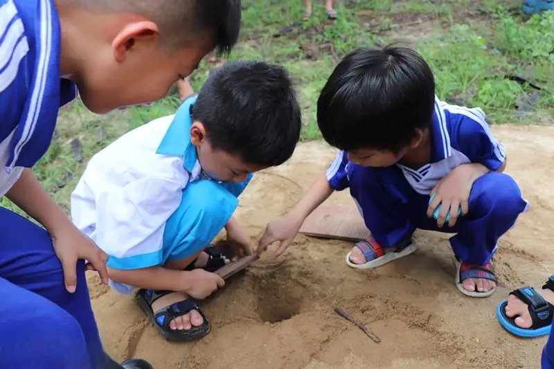 Dế chọi được nuôi dưỡng trong hộp gỗ chuyên dụng