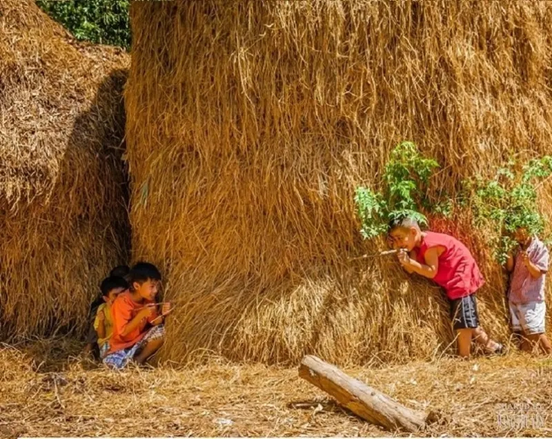 Đánh Trận Giả dân gian có bao nhiêu loại