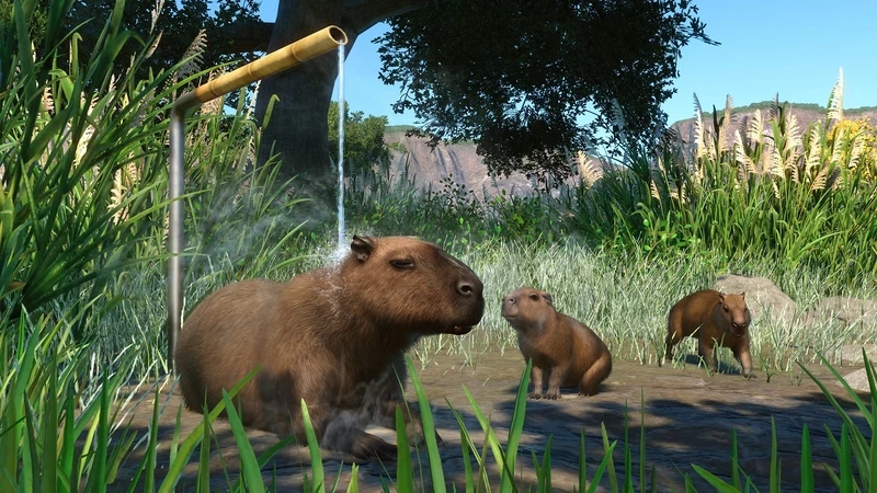 Các lưu ý quan trọng khi chơi Planet Zoo