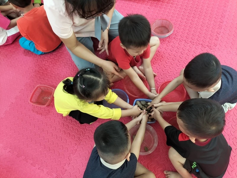 Lớp học sinh động hơn với gắp cua bỏ giỏ trong lớp học