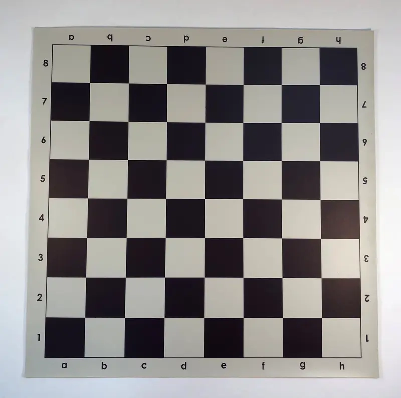 Infographic hướng dẫn chơi cờ Vua cho người mới