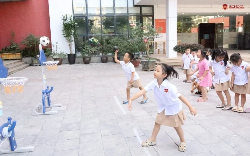 Bộ sưu tập hình ảnh ném bóng vào rổ sinh động trực quan