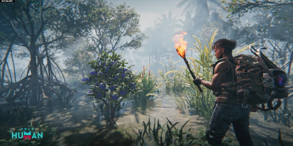 Toàn cảnh căn cứ hiện đại tại vùng vịnh Meyer's Market