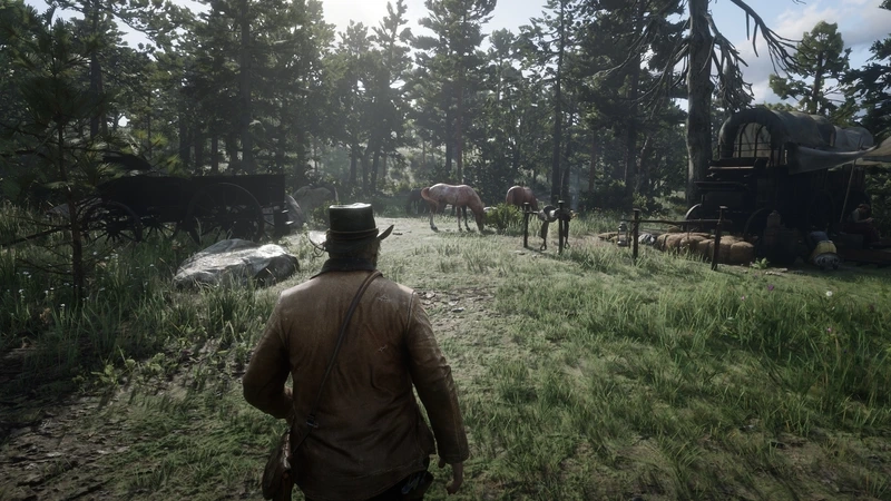 Chuẩn bị trước khi chơi Red Dead Redemption 2