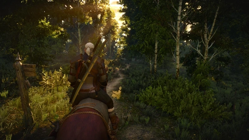 Chơi game tiếng Việt mượt mà với the witcher 3 wild hunt việt hóa