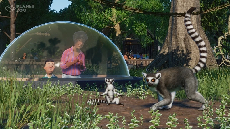 Cài đặt dễ dàng qua zoo planet download